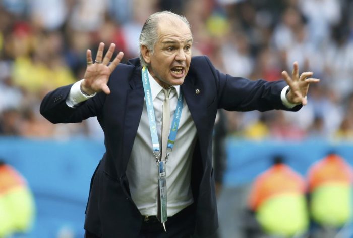 sabella