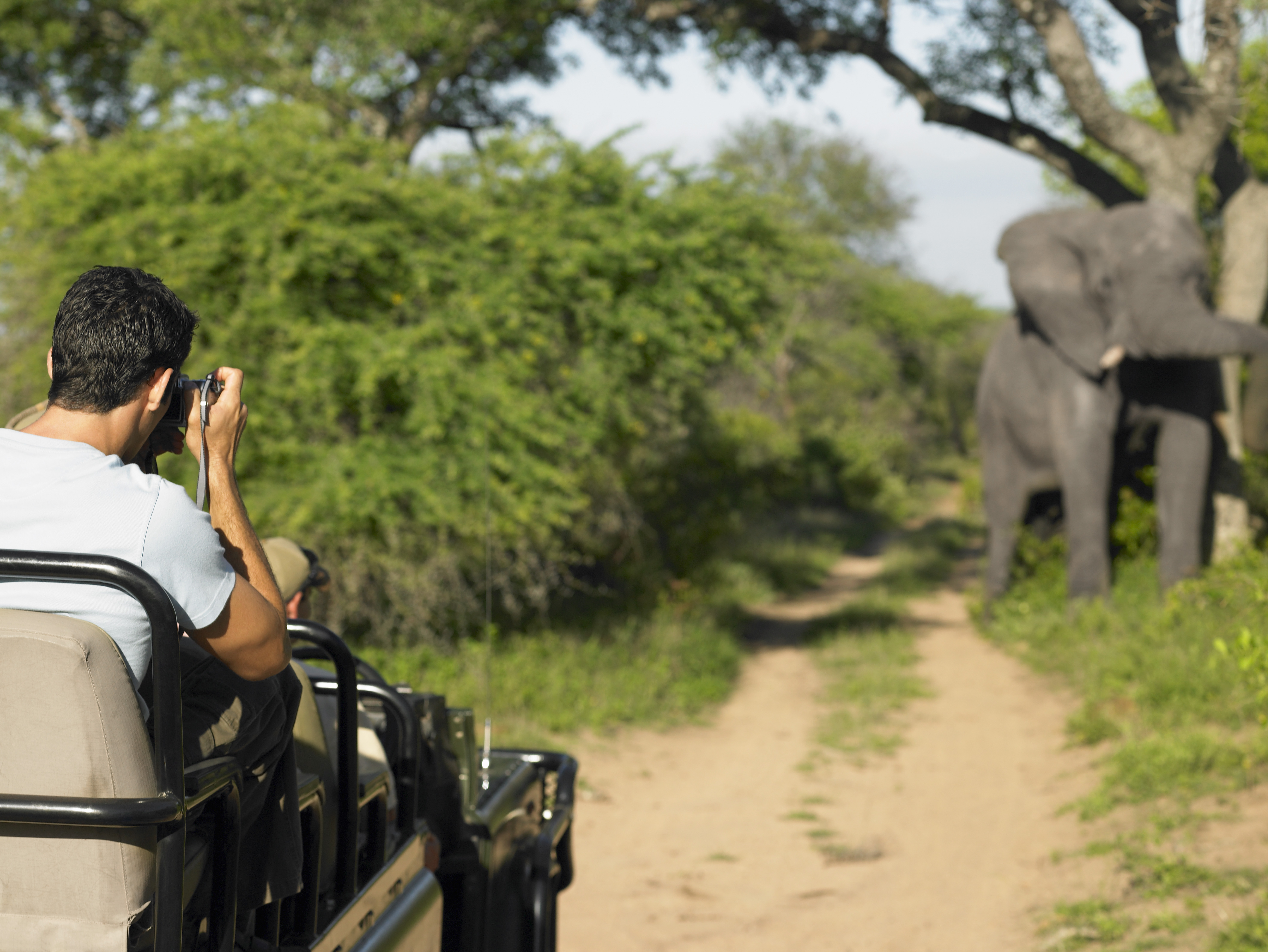 Śladami dzikiej przyrody, czyli safari Kenia